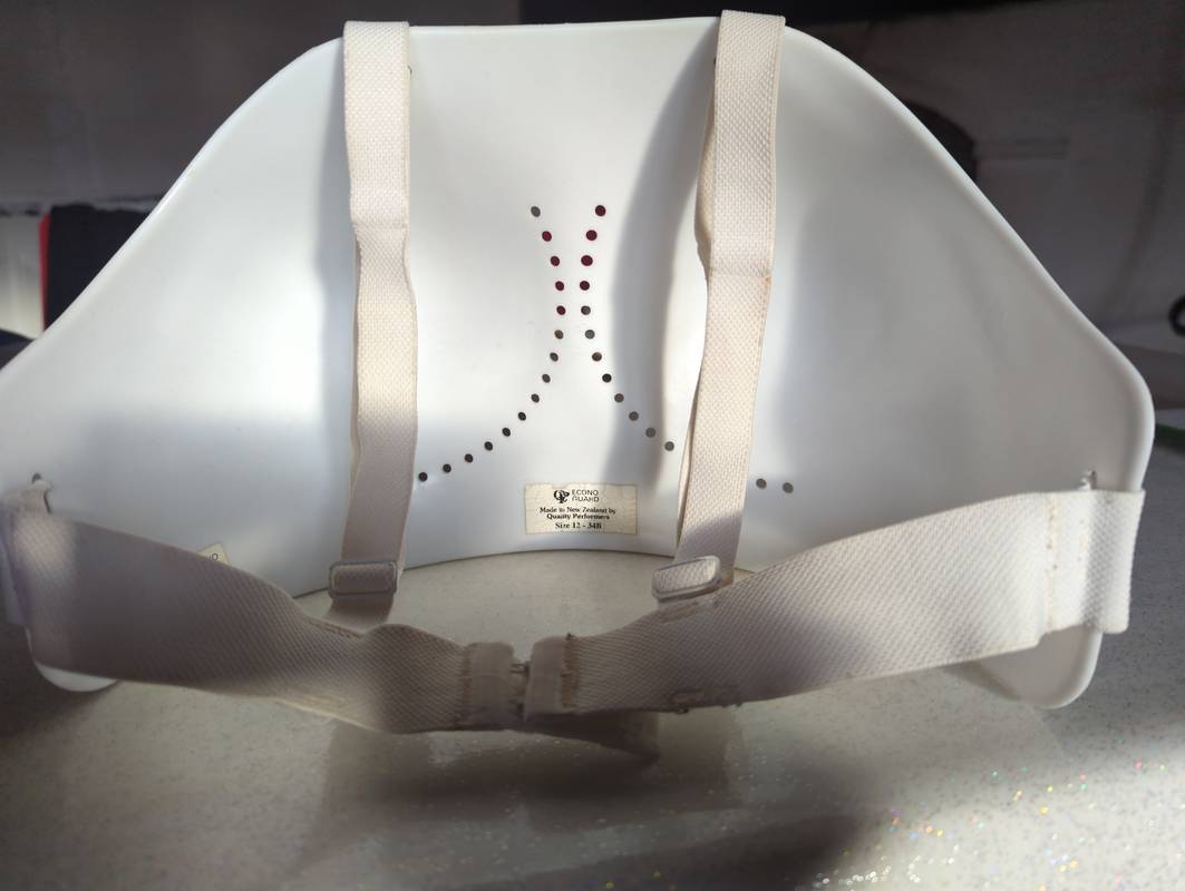 Plastron